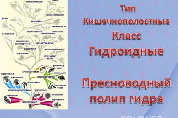 Как войти в кракен